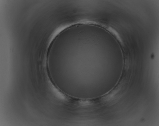 X0000093511231200710191303