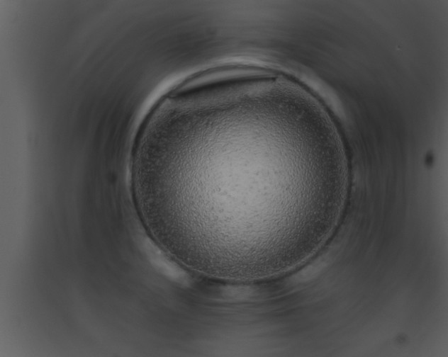 X0000093511232200710191303