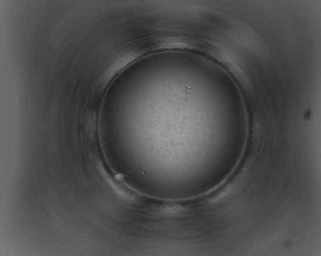 X0000093511233200710191303