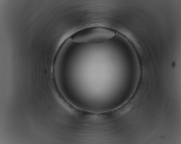 X0000093511234200710191303