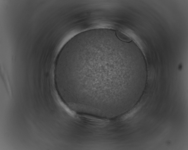 X0000093511235200710191303