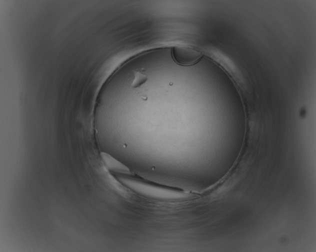 X0000093511236200710191303