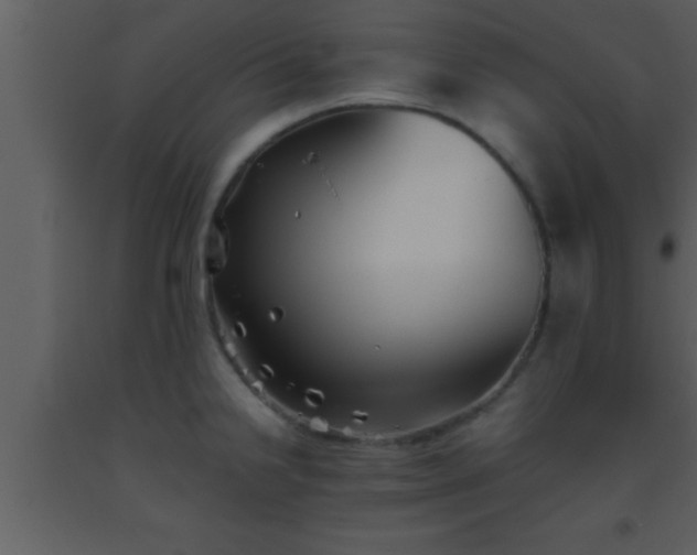 X0000093511238200710191303