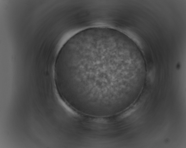 X0000093511239200710191303