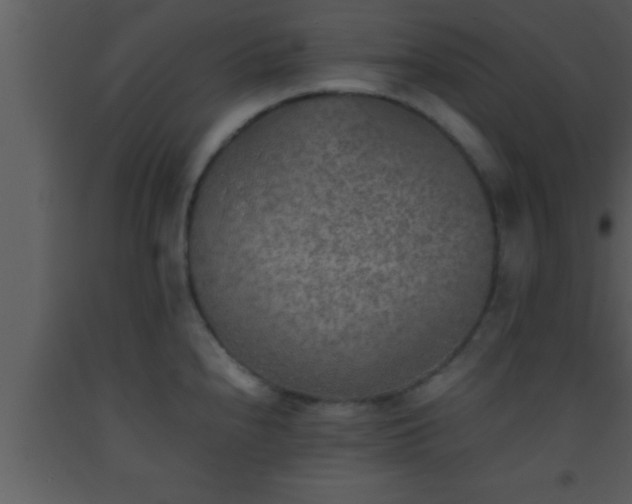 X0000093511240200710191303