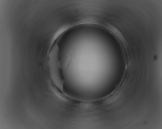 X0000093511242200710191303