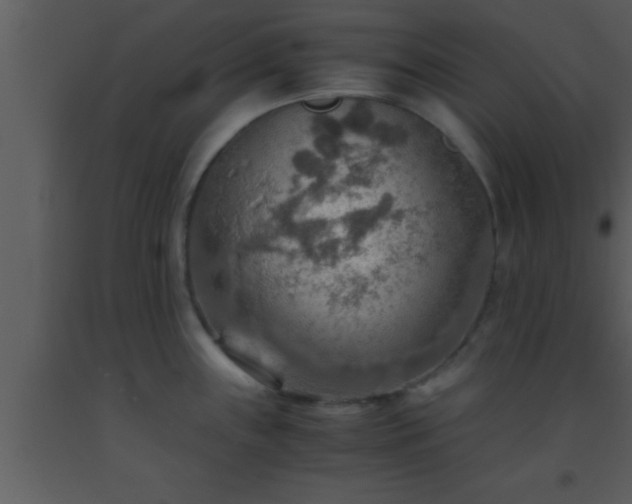 X0000093511243200710191303