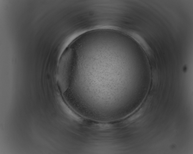 X0000093511244200710191303