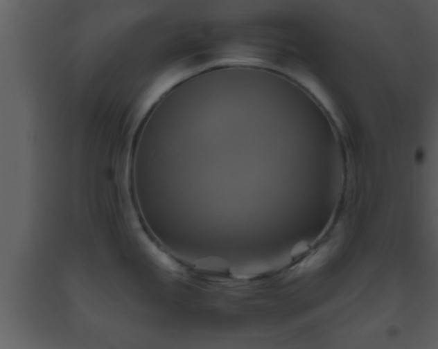 X0000093511245200710191303