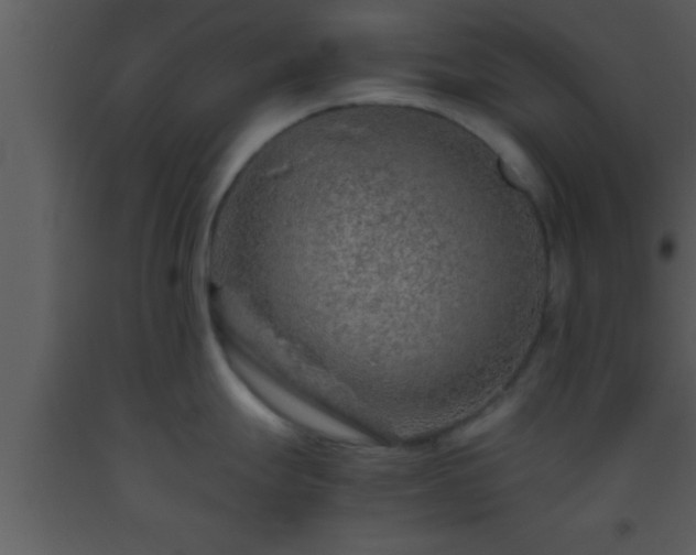 X0000093511247200710191303