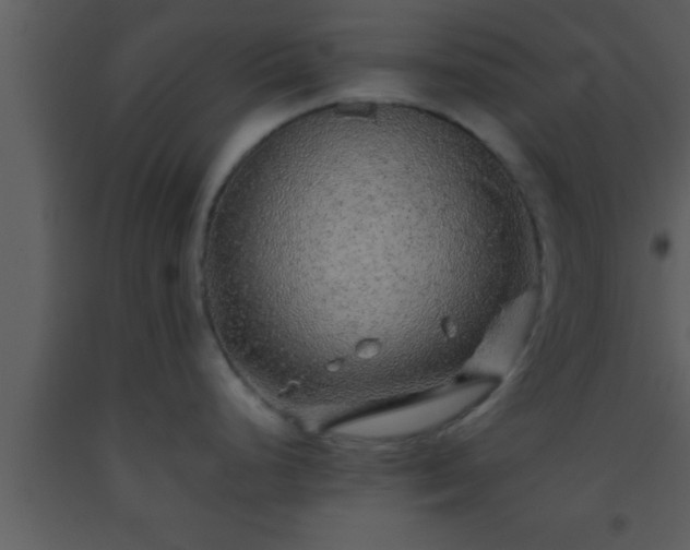 X0000093511248200710191303