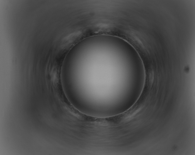 X0000093511250200710191303