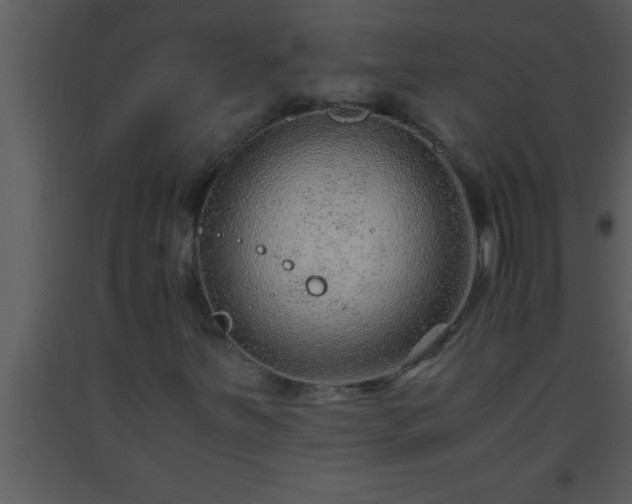 X0000093511251200710191302