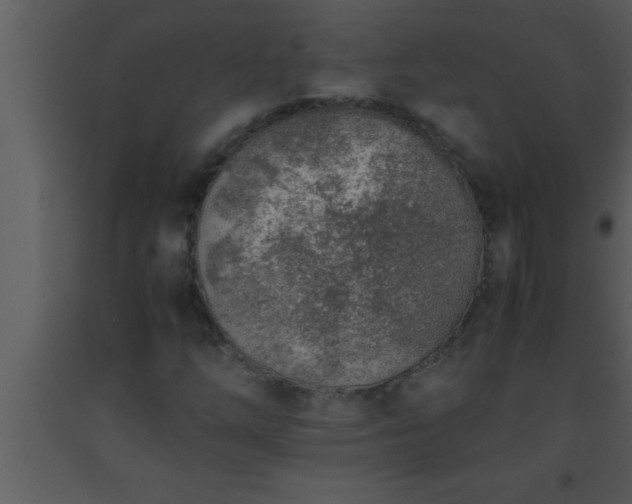 X0000093511254200710191302