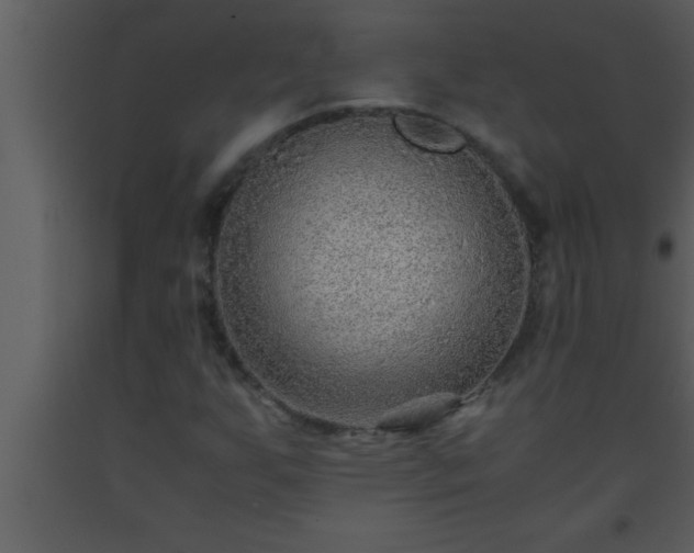 X0000093511255200710191302