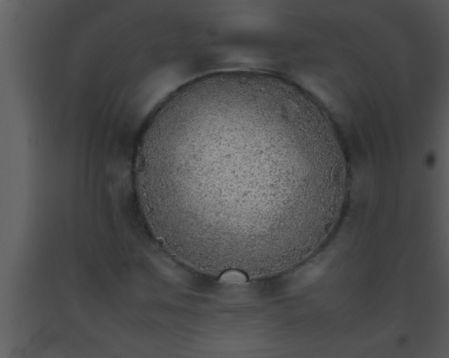 X0000093511259200710191302