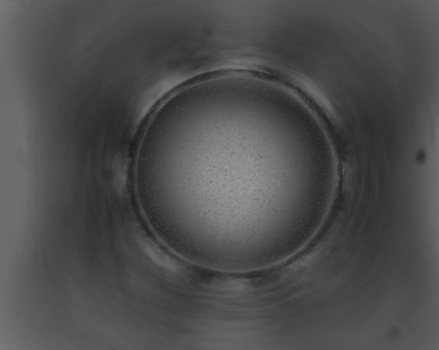 X0000093511260200710191302