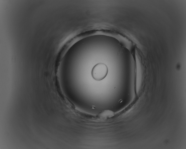 X0000093511261200710191302