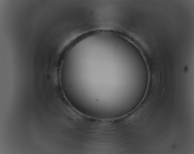 X0000093511262200710191302