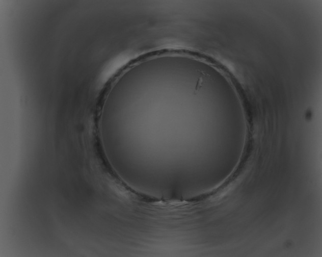 X0000093511263200710191302
