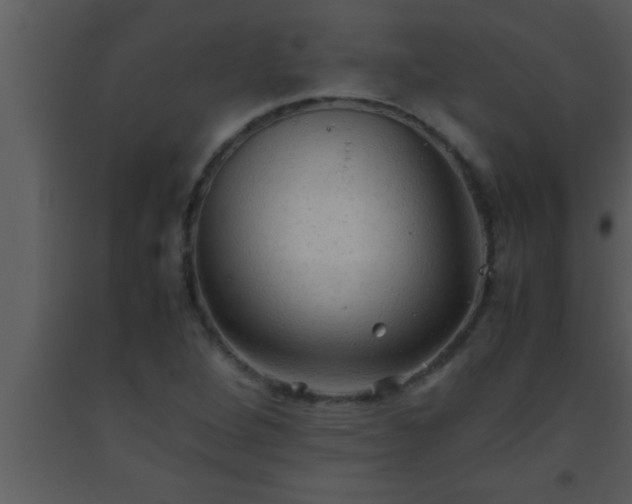 X0000093511264200710191302