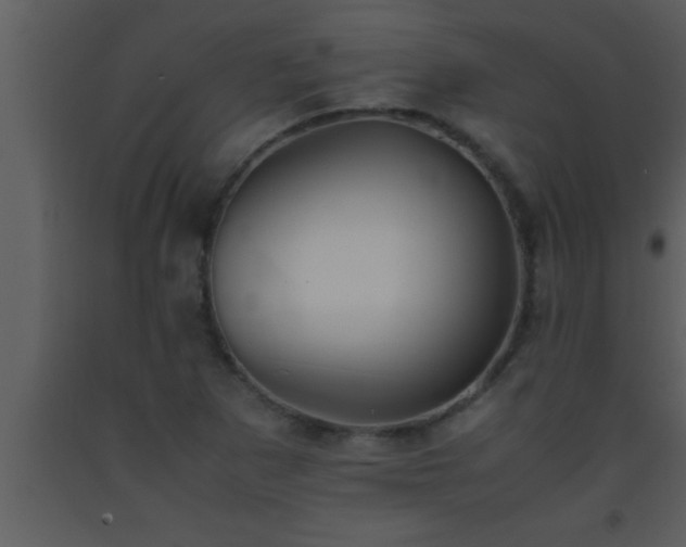 X0000093511265200710191302