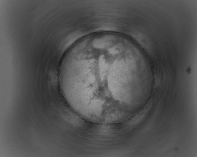 X0000093511266200710191302