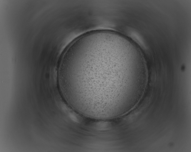 X0000093511268200710191302