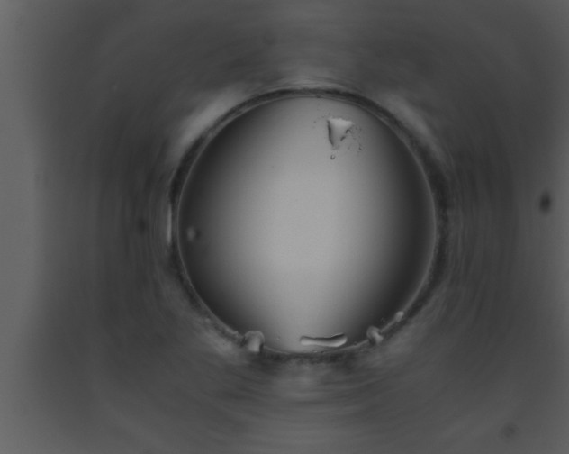 X0000093511269200710191302