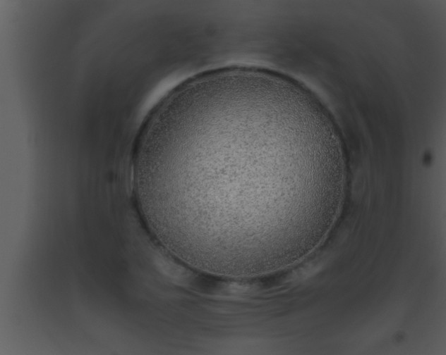X0000093511271200710191302