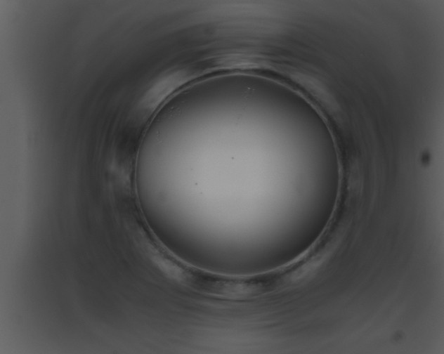 X0000093511273200710191302