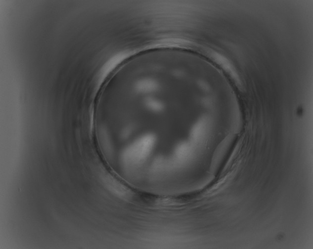 X0000093511275200710191302