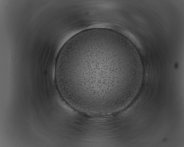 X0000093511276200710191302
