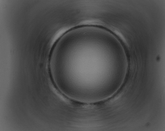 X0000093511277200710191302