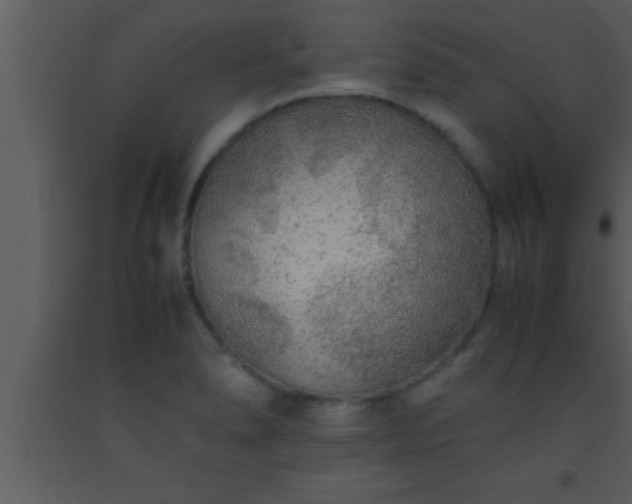 X0000093511278200710191302