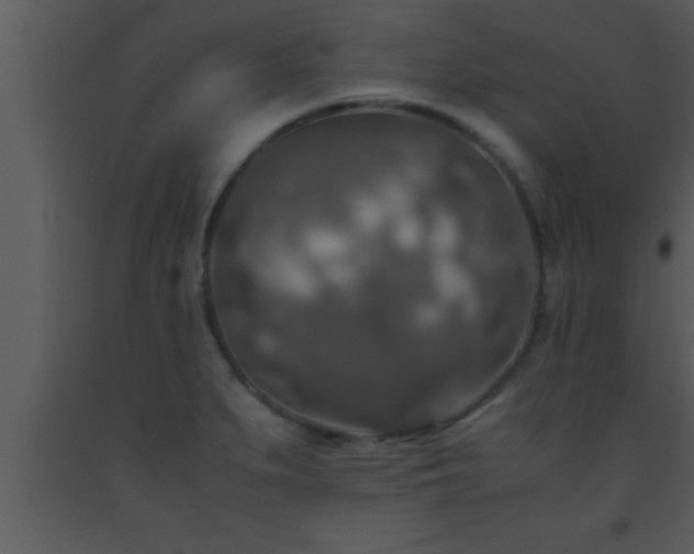X0000093511279200710191302