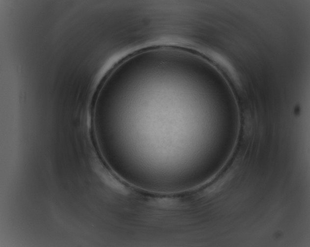 X0000093511280200710191302