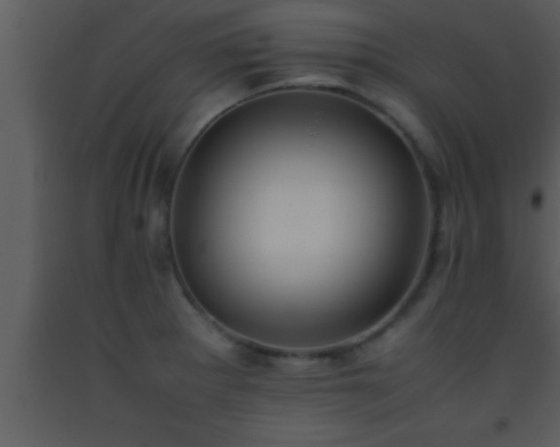 X0000093511281200710191302