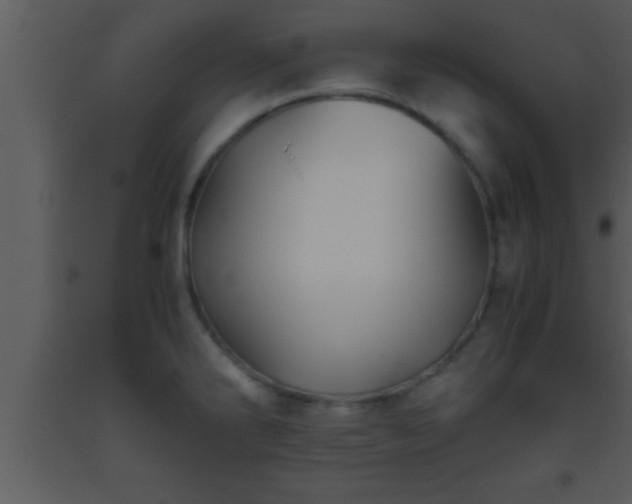 X0000093511286200710191302
