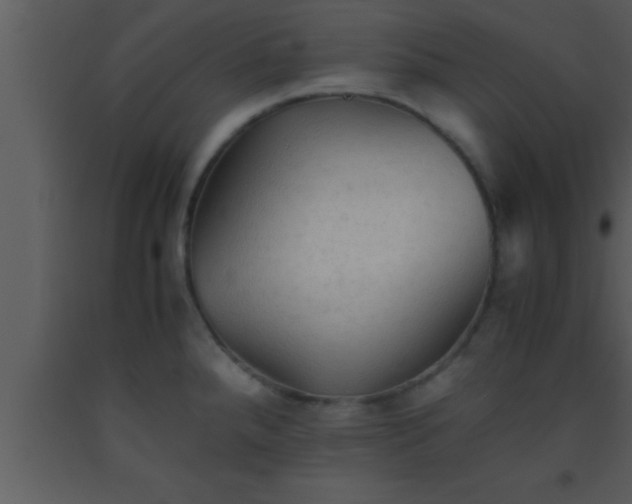 X0000093511288200710191302