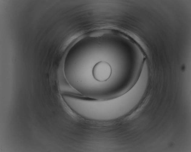 X0000093511289200710191302