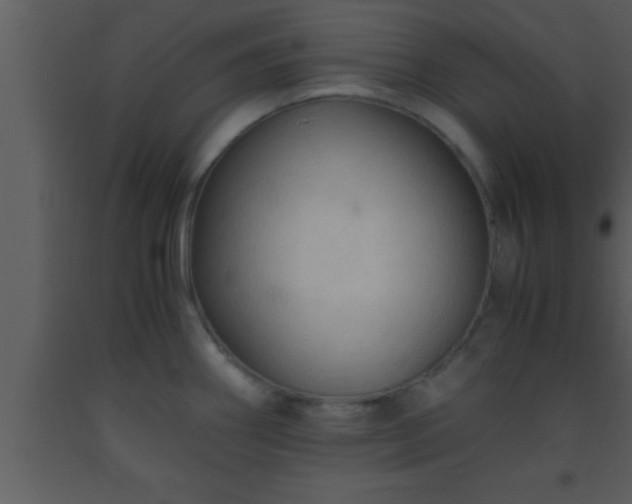 X0000093511290200710191302