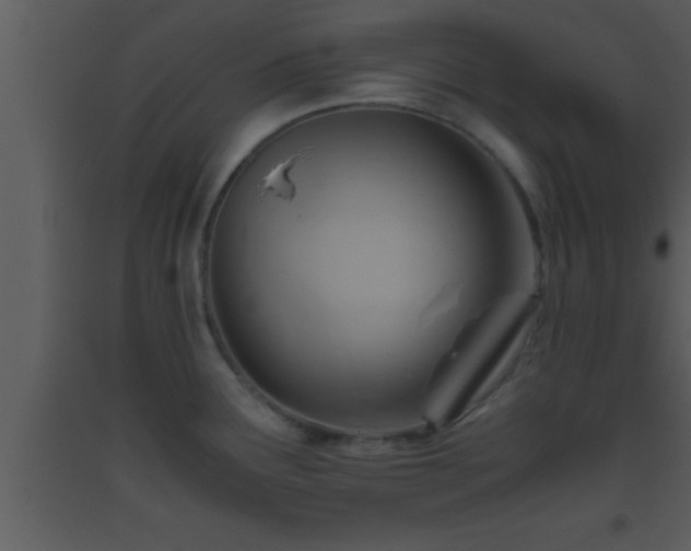 X0000093511291200710191302