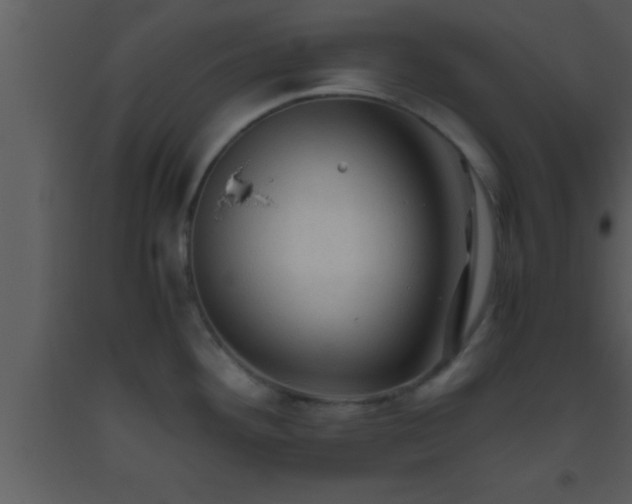 X0000093511292200710191302