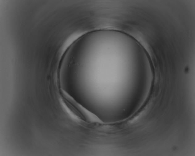 X0000093511293200710191302