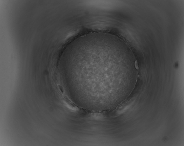 X0000093511297200710191301