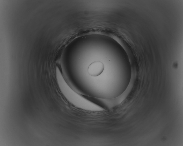 X0000093511298200710191301