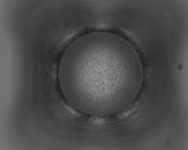 X0000093511301200710191301