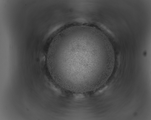 X0000093511302200710191301