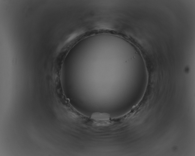 X0000093511303200710191301